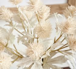 Dried Thistle Arrangement in Ceramic Vase