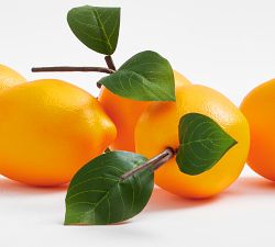 Monique Lhuillier Lemon Vase Filler - Set of 6