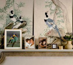 Silver-Plated Phillips Frame