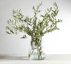 Live Olive Leaves Bunches