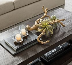 Faux Tillandsia Succulent Stem