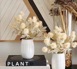 Dried Thistle Arrangement in Ceramic Vase