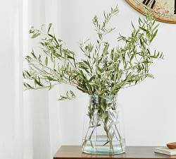 Live Olive Leaves Bunches