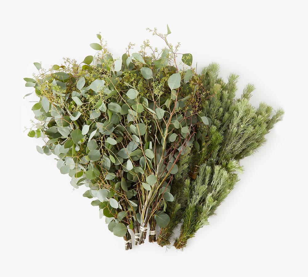 Live Wooly Bush & Seeded Eucalyptus Bunches - 8 Bunches