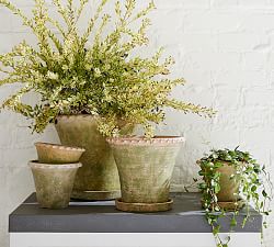 Provence Scalloped Edge Outdoor Planters - Moss