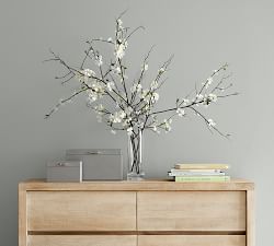 Aegean Clear Glass Vases