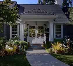 Grapevine Egg String Light