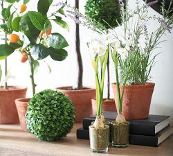 Faux Potted Lavender in Terracotta Pot