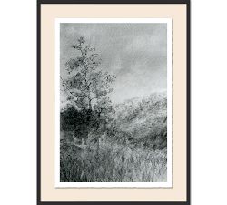 Landscape Study I &amp; II Wall Art By Aileen Fitzgerald