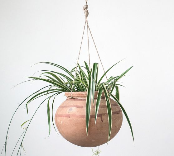 Drew Clay Hanging Planters