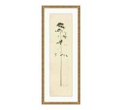 Solitude by Chelsea Fly