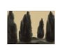Cypress Grove by Chelsea Fly