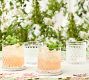 Monique Lhuillier Trelliage Cocktail Glasses - Set of 4