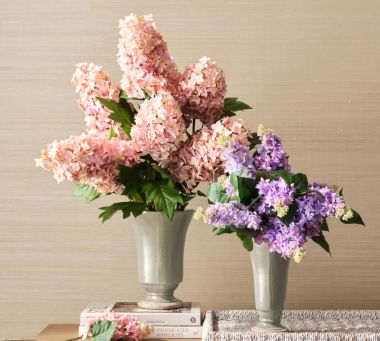 All Botanicals &amp; Trees