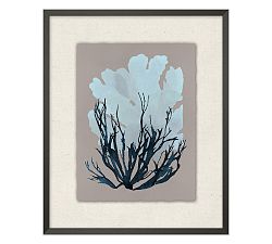 Open Box: Blue Gray Seagrass 2