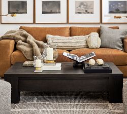 Folsom Storage Rectangular Grand Coffee Table (60")