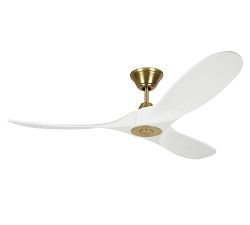 52" Rayanne Indoor/Outdoor Ceiling Fan