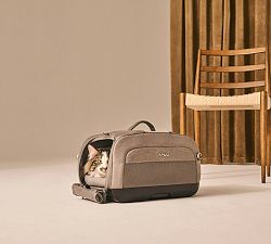 Tavo Dupree Airline Carry-On Pet Seat