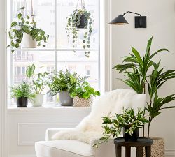Faux Boston Fern Houseplant