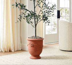 Rosette Anduze Planters