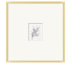 Charcoal Leaf Sketch Framed Print, 25" x 26"