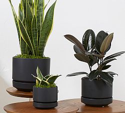 Modern Black Ceramic Planters