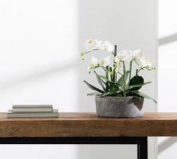 Faux Orchid In Clay Pot