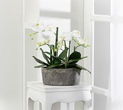 Faux Orchid In Clay Pot