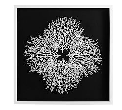 Coral Shadow Box Art