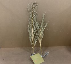 Open Box: Twinkling Twig Trees (7') - Gold