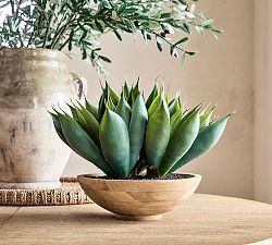 Faux Composed Spike Aloe Plant