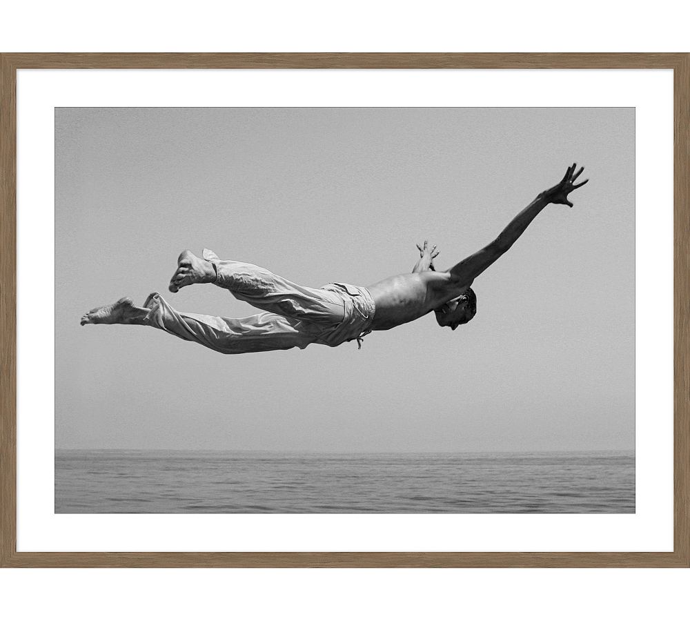 Flying High Framed Print by Pottery Barn