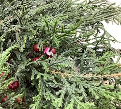 Open Box: Faux Lit Cedar Wreath With Berries (28")
