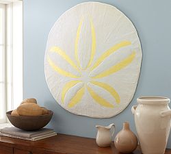 Oversized Sand Dollar