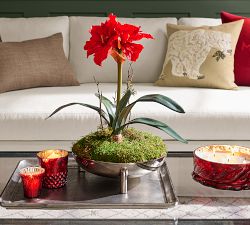 Footed Nickel Decorative Bowl