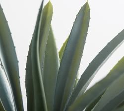 Faux Faded Striped Agave Plant