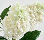 Faux Potted White Cone Hydrangea