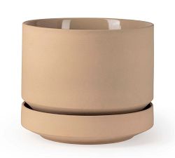 Modern Oatmeal Ceramic Planters