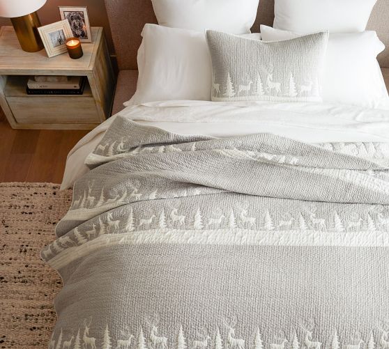 Couette Pottery Barn Mirage Dream En Coton Brossé - Taille Twin / XL - Neuve Avec étiquettes