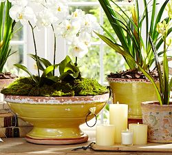 Delfina Ceramics