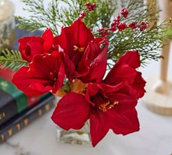 Faux Amaryllis Composed Arrangement - Red