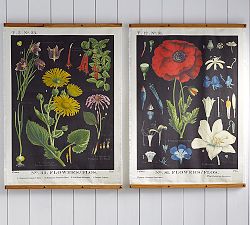 Botanical Printed Canvas