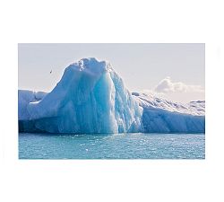 Iceberg by Jennifer Meyers