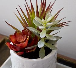 Faux Succulent Arrangement