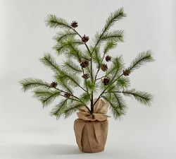 Lit Faux Potted Needle Pine Tree