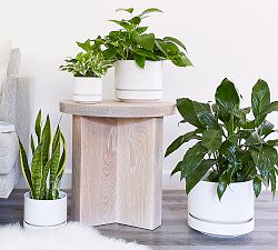 Modern White Ceramic Planters
