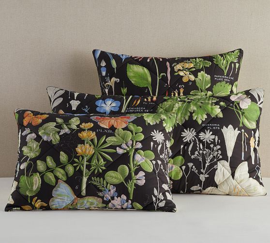 Pottery Barn Poppy Organic Percale Comforter Sham - Thumbnail 3