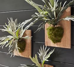 Faux Mounted Staghorn Ferns