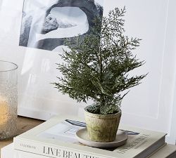 Pre-Lit Faux Cedar Trees