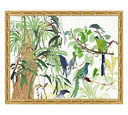Rainforest Birds